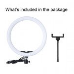 Wholesale RGB Light 10 inch Selfie Ring Light with 3 Cell Phone Holders for Live Stream, Makeup, YouTube Video, Photography TikTok, & More Compatible with Universal Phone (No Stand) (RGB)